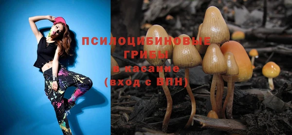 ECSTASY Абдулино